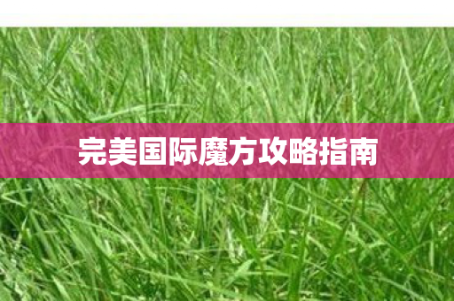完美国际魔方攻略指南图片