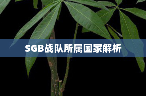 SGB战队所属国家解析图片