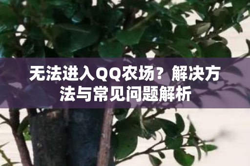 解决方法与常见问题解析图片