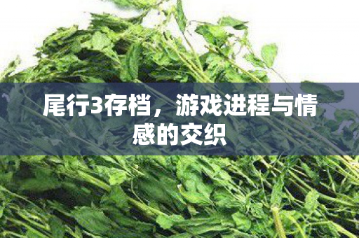 游戏进程与情感的交织图片