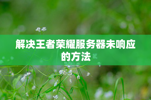 解决王者荣耀服务器未响应的方法图片