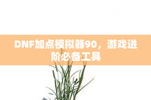 DNF加点模拟器90图片