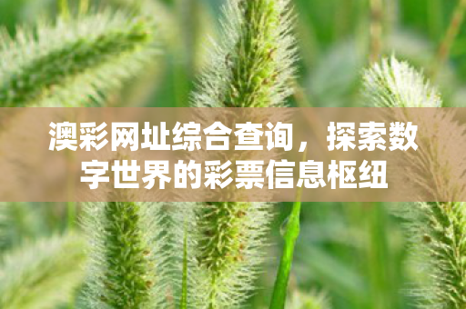 探索数字世界的彩票信息枢纽图片