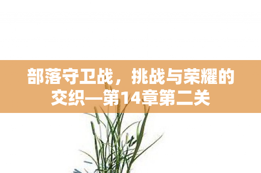 挑战与荣耀的交织图片