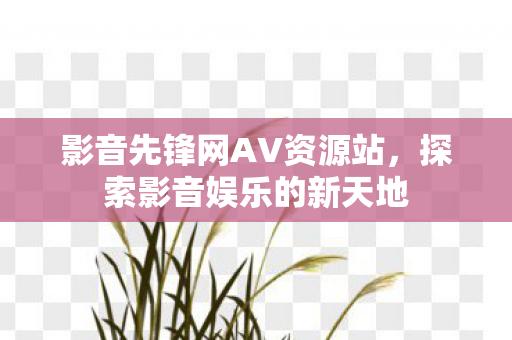 影音先锋网AV资源站图片