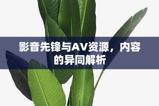 影音先锋与AV资源图片