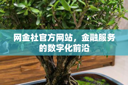 金融服务的数字化前沿图片