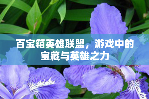 游戏中的宝藏与英雄之力图片