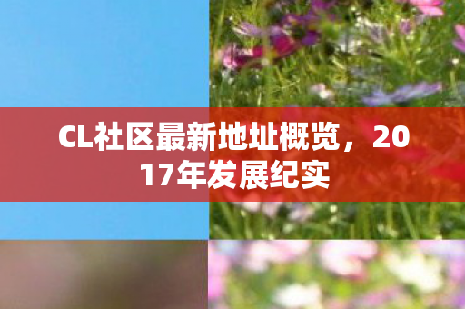 CL社区最新地址概览图片