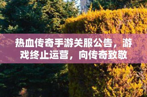 热血传奇手游关服公告图片