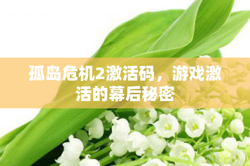 游戏激活的幕后秘密图片