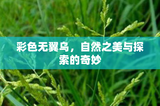 自然之美与探索的奇妙图片