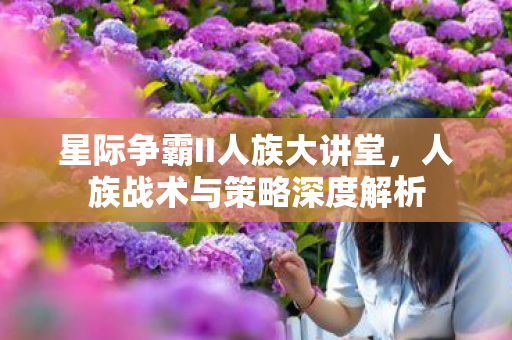 星际争霸II人族大讲堂图片