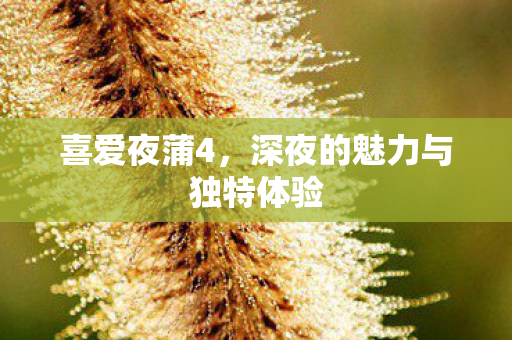 深夜的魅力与独特体验图片