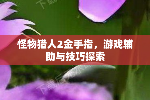 游戏辅助与技巧探索图片