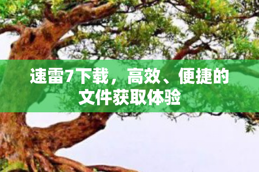 便捷的文件获取体验图片