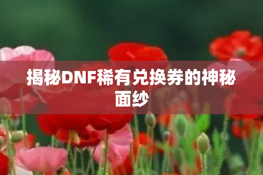 揭秘DNF稀有兑换券的神秘面纱图片