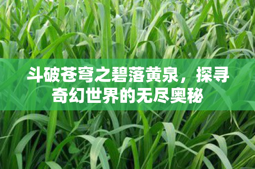 探寻奇幻世界的无尽奥秘图片