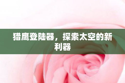 探索太空的新利器图片