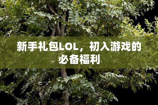 初入游戏的必备福利图片