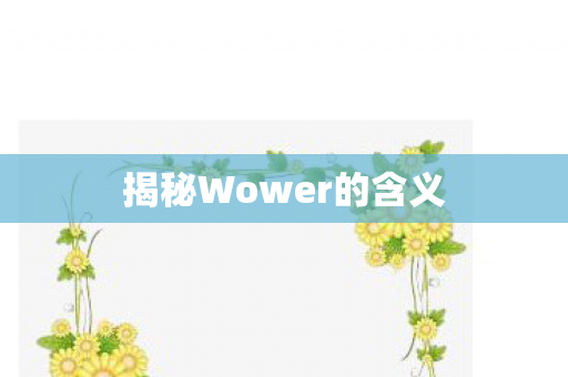 揭秘Wower的含义图片