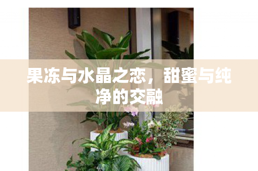 甜蜜与纯净的交融图片