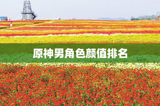 原神男角色颜值排名图片