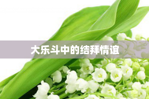 大乐斗中的结拜情谊图片