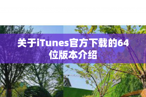 关于iTunes官方下载的64位版本介绍图片
