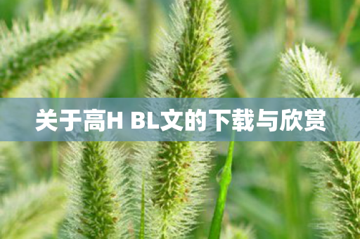 关于高H BL文的下载与欣赏图片