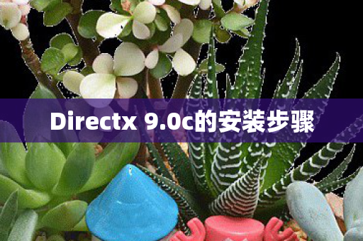 Directx 9图片