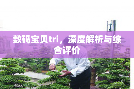深度解析与综合评价图片