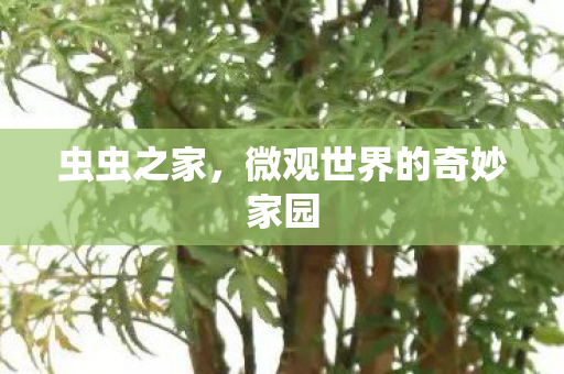 微观世界的奇妙家园图片