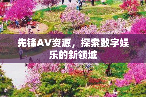 探索数字娱乐的新领域图片