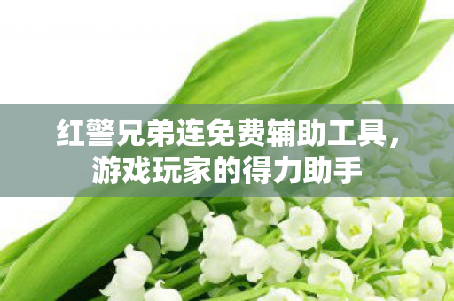 红警兄弟连免费辅助工具图片