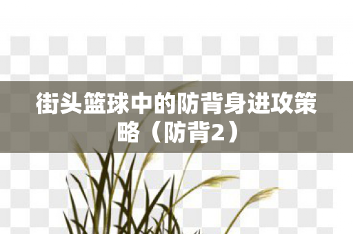 街头篮球中的防背身进攻策略图片