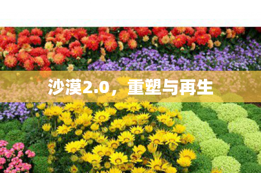 重塑与再生图片