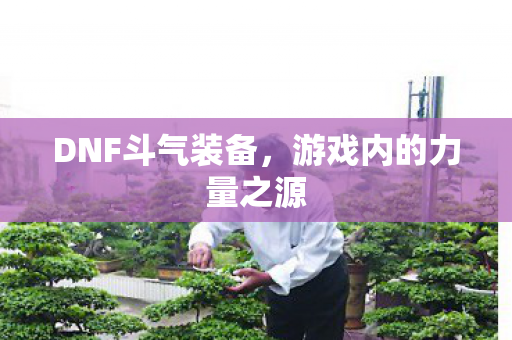 游戏内的力量之源图片