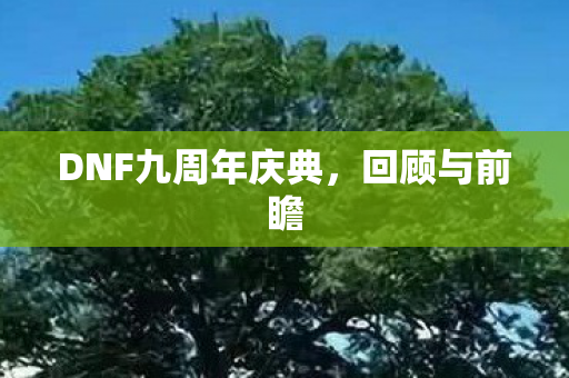DNF九周年庆典图片