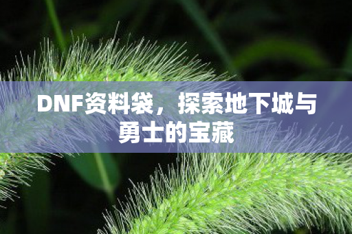 探索地下城与勇士的宝藏图片