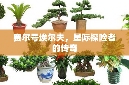 星际探险者的传奇图片