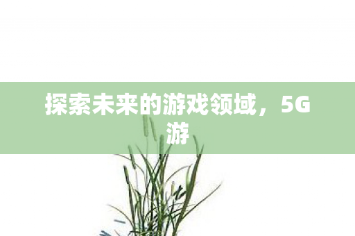 探索未来的游戏领域图片