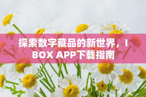 IBOX APP下载指南图片