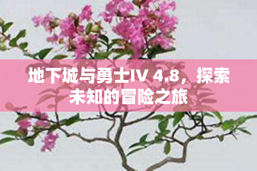 地下城与勇士IV 4图片