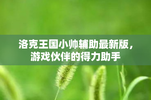 洛克王国小帅辅助最新版图片