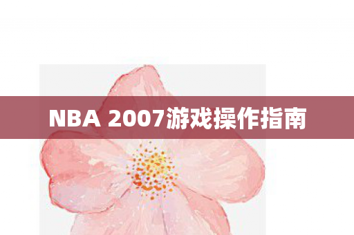 NBA 2007游戏操作指南图片