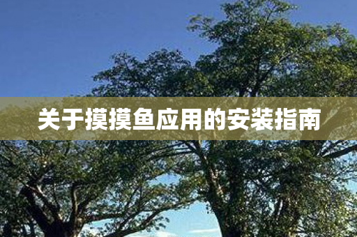 关于摸摸鱼应用的安装指南图片