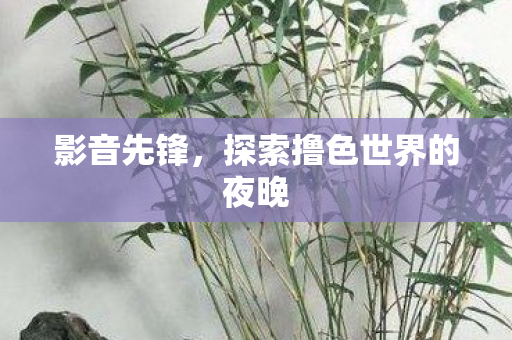 探索撸色世界的夜晚图片