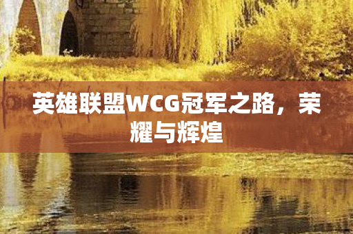英雄联盟WCG冠军之路图片