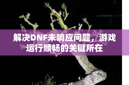 游戏运行顺畅的关键所在图片